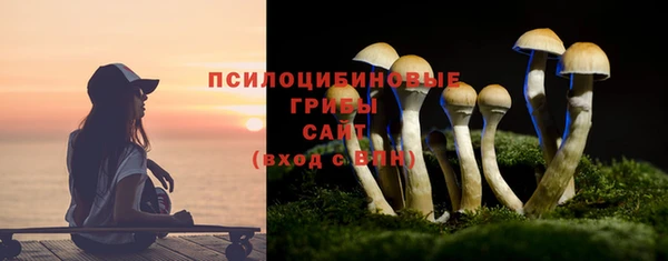 круглые Алексеевка