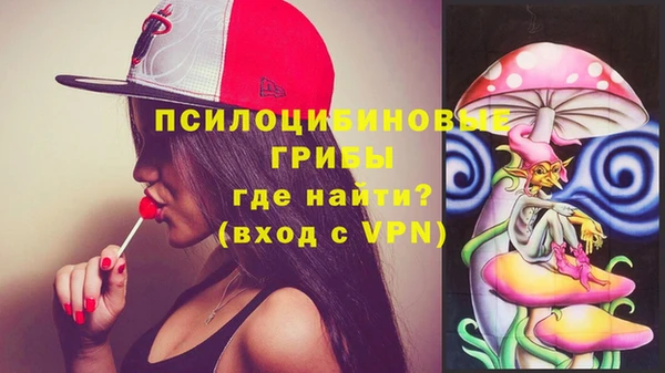 круглые Алексеевка