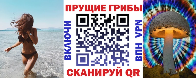 Галлюциногенные грибы Psilocybe  наркота  Карасук 